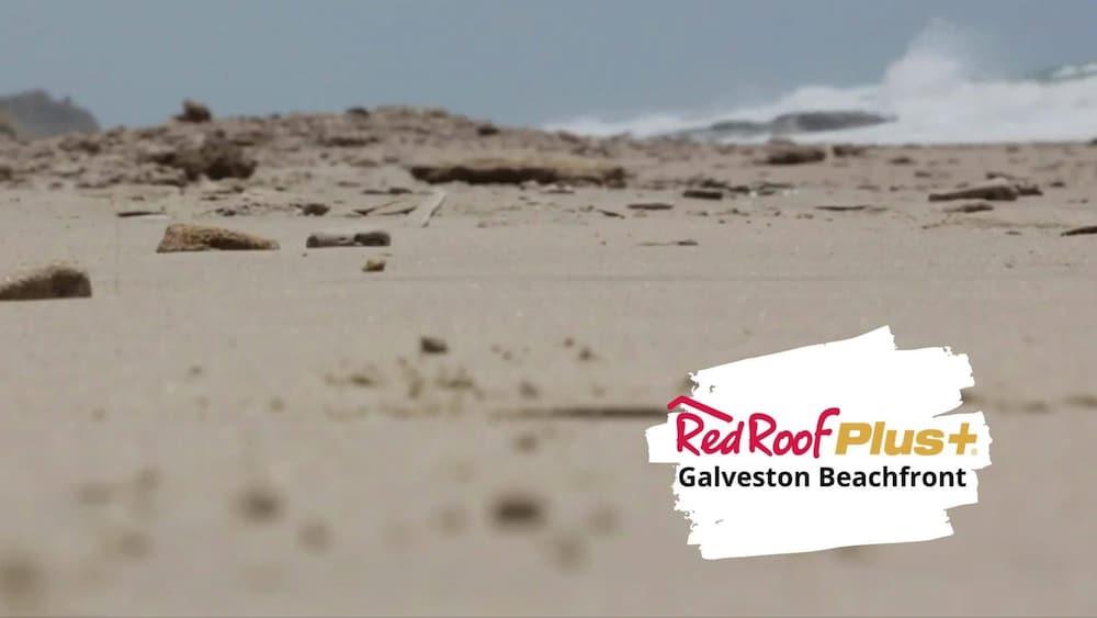 Red Roof Inn Plus + Galveston - Beachfront Exterior foto